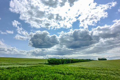 Scenic view of field against sky