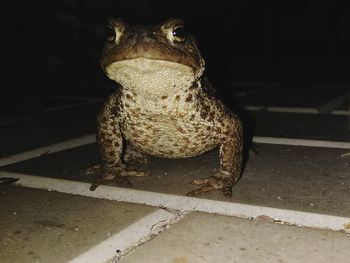 Portrait of a serious young man sitting on footpath