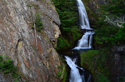 Scenic view of waterfall in forest