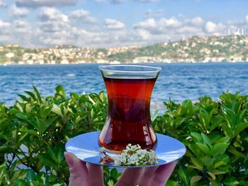 Close-up of drink on glass against sea
