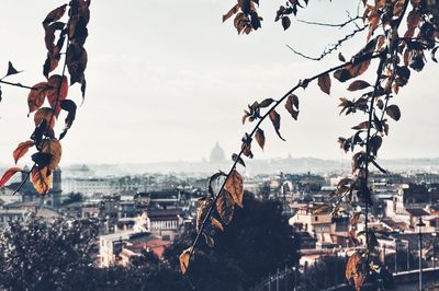 Cityscape against sky