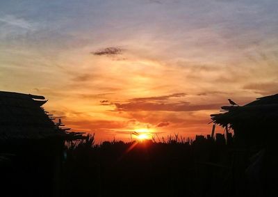 Silhouette trees against sky during sunset