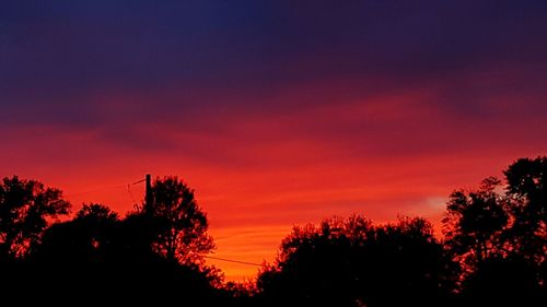 Silhouette of trees against sky during sunset