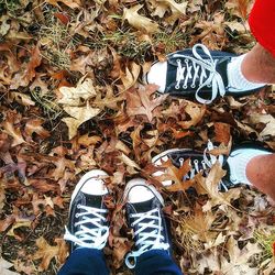 Low section of person standing in autumn leaves