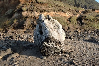 High angle view of rocks on land