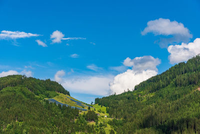 Photovoltaic farm located on a mountain slope in the alps. green pasture grass and blue sky