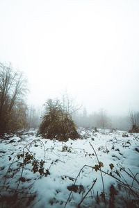 Snow covered landscape against clear sky