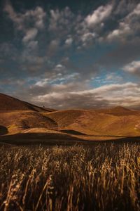 Peace in the steppe
