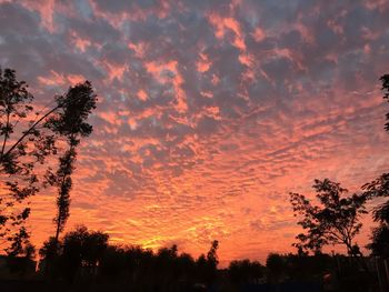 Low angle view of silhouette trees against dramatic sky