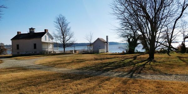 Houses by bare trees against clear sky