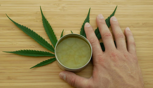 High angle view of hand holding leaves on table