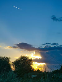 Silhouette trees on field against sky at sunset