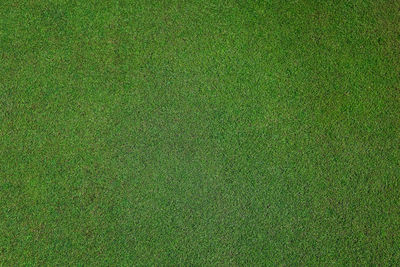 Full frame shot of green grass