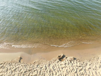 High angle view of beach