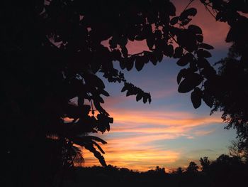 Low angle view of silhouette trees against sky at sunset