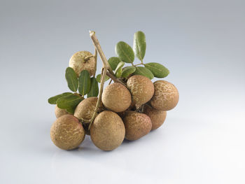 Close-up of berries against white background