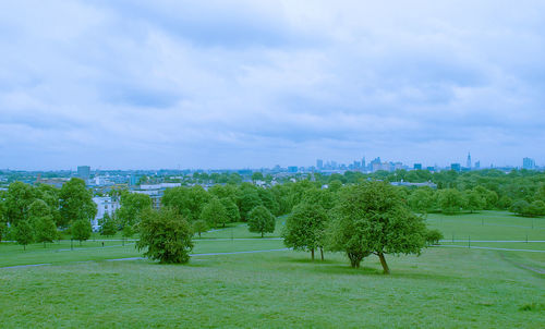 Trees on field against sky