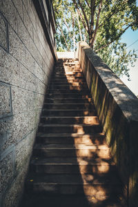 Low angle view of staircase