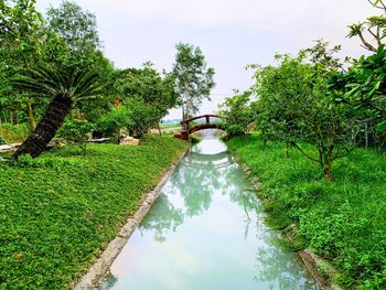 Scenic view of canal amidst trees against sky