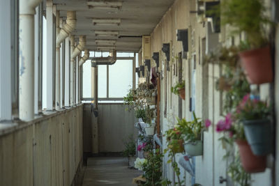 Corridor of building