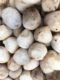 Full frame shot of onions for sale at market stall