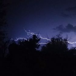 Low angle view of trees against sky at night