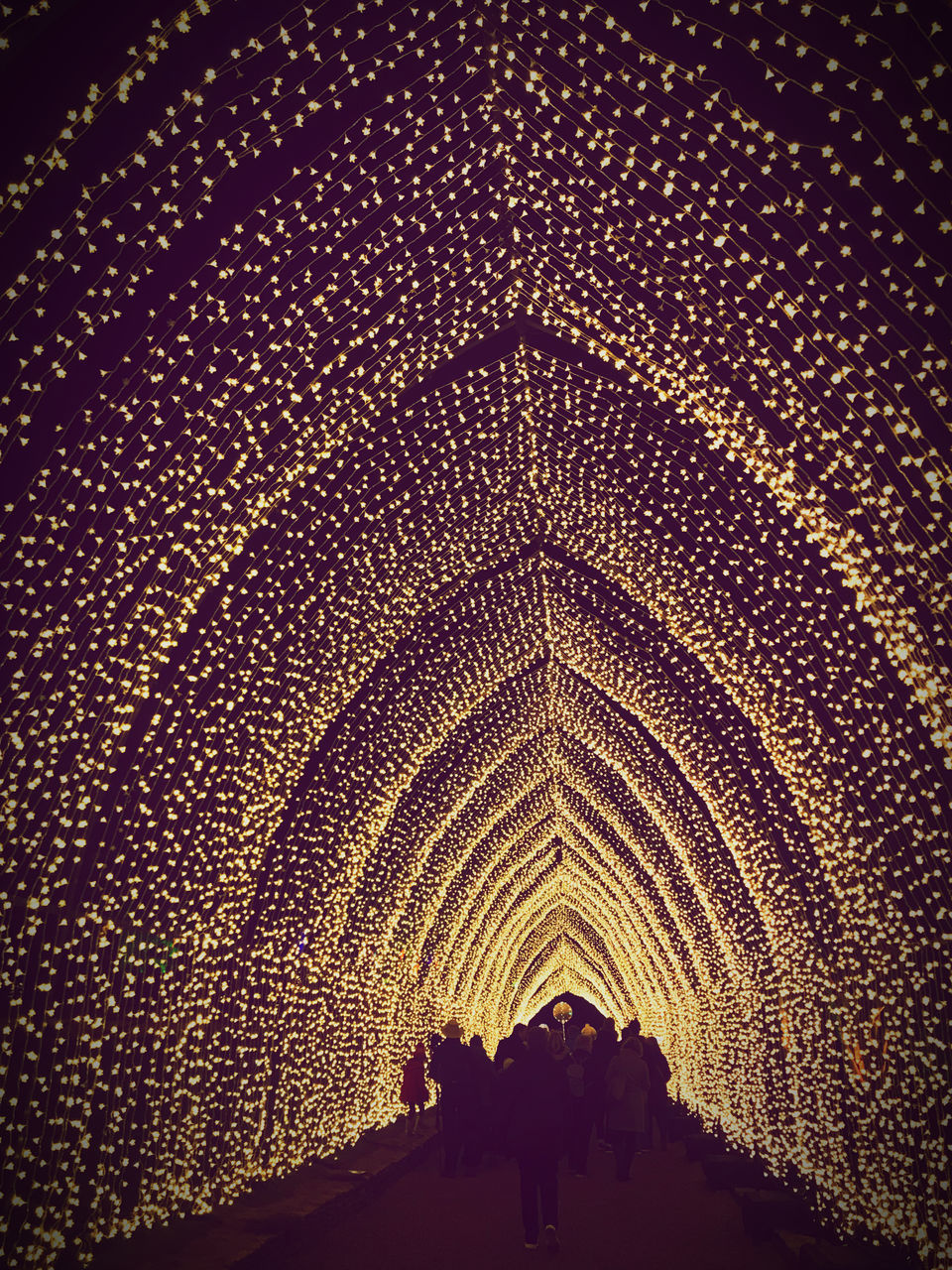 LOW ANGLE VIEW OF ILLUMINATED BUILDING