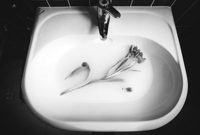 High angle view of faucet in bathroom