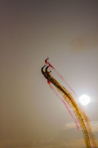 Close-up of insect against sky