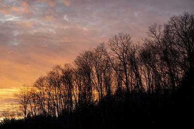 Silhouette bare trees against sky during sunset