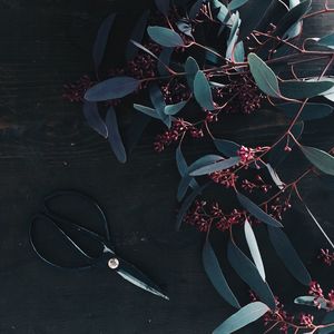 High angle view of plants on table