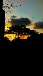 Silhouette of bird flying against sky at sunset