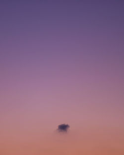 Low angle view of pink sky during sunset