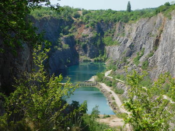 Scenic view of lake in forest