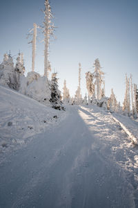 Snow covered land against sky