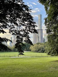 Trees on field by buildings against sky