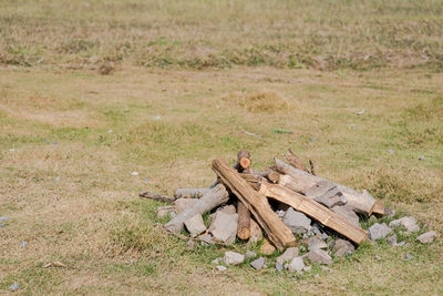 Stack of logs on field