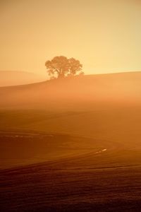 Scenic view of landscape against clear sky during sunset