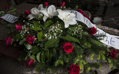 Close-up of red roses