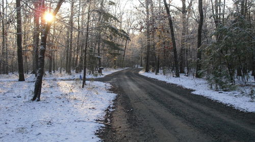 Road passing through forest