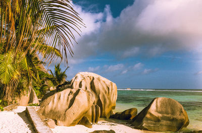 Scenic view of palm trees by sea against sky