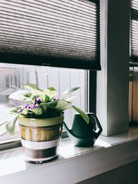 Close-up of potted plant on window sill at home