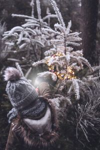 Close-up of christmas tree during winter