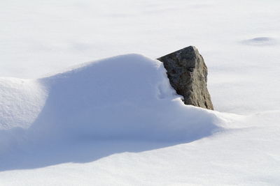 Scenic view of snow covered land with single rock