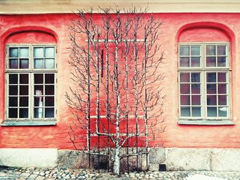 Brick wall with windows