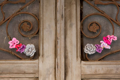 Close-up of flowers on wood