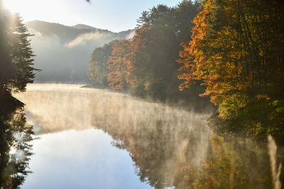 Scenic view of lake in forest during autumn