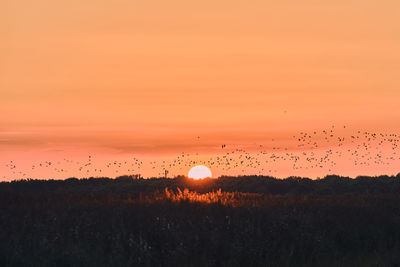 Scenic view of field against sky during sunset