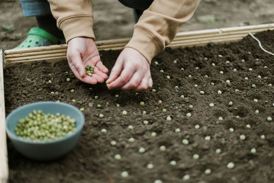 Midsection of man holding plant