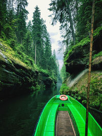 Scenic view of river amidst trees in forest
